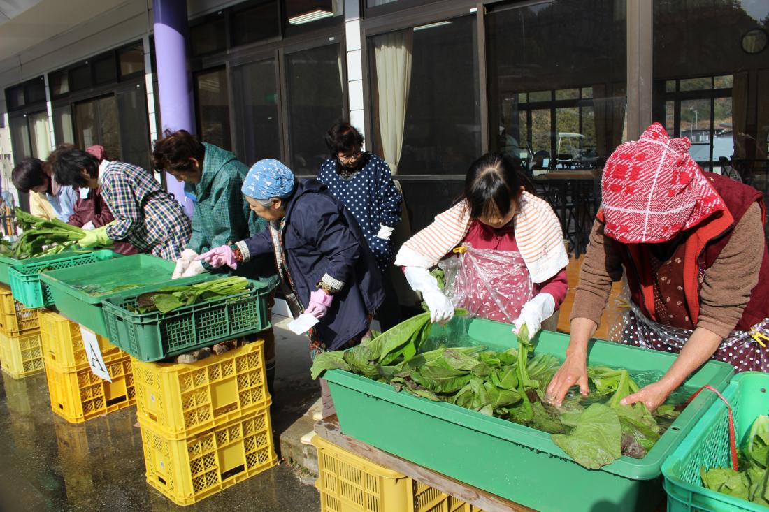 源助蕪菜販売会の写真