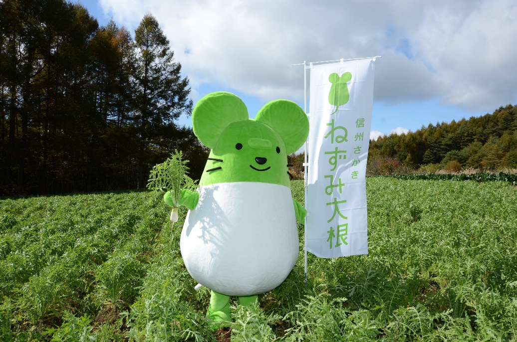 ねずみ大根まつり2025の写真