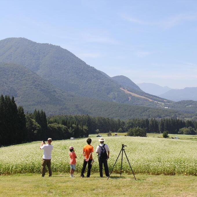 法印さんとそばの花まつり(開催中止)の写真