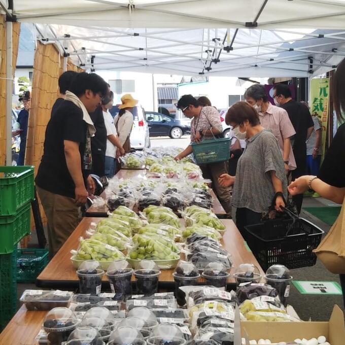 ぶどう直売市の写真