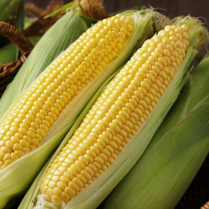 平谷村の朝採れ野菜市！の写真